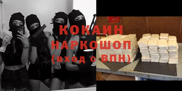 молекула духа Арсеньев