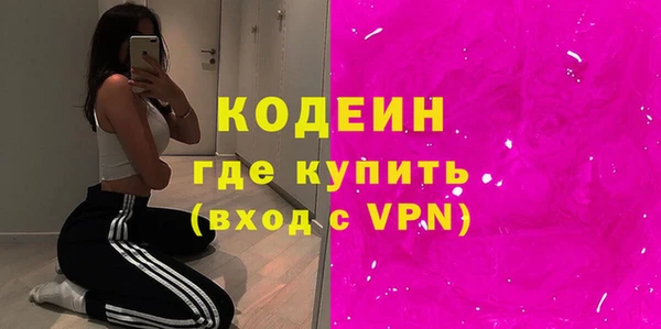 молекула духа Арсеньев