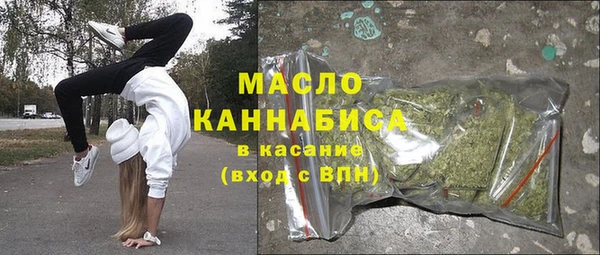молекула духа Арсеньев