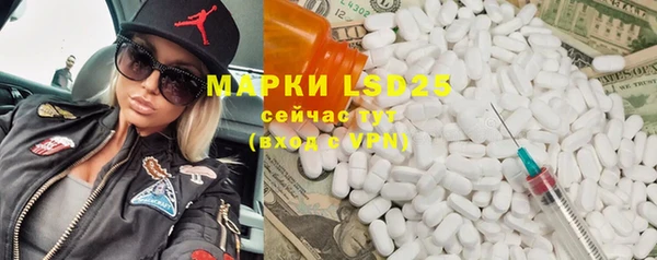 молекула духа Арсеньев