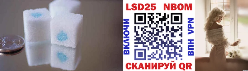 мега tor  Светлогорск  shop состав  наркота  Лсд 25 экстази ecstasy 