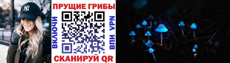 наркошоп  Светлогорск  Псилоцибиновые грибы MAGIC MUSHROOMS 
